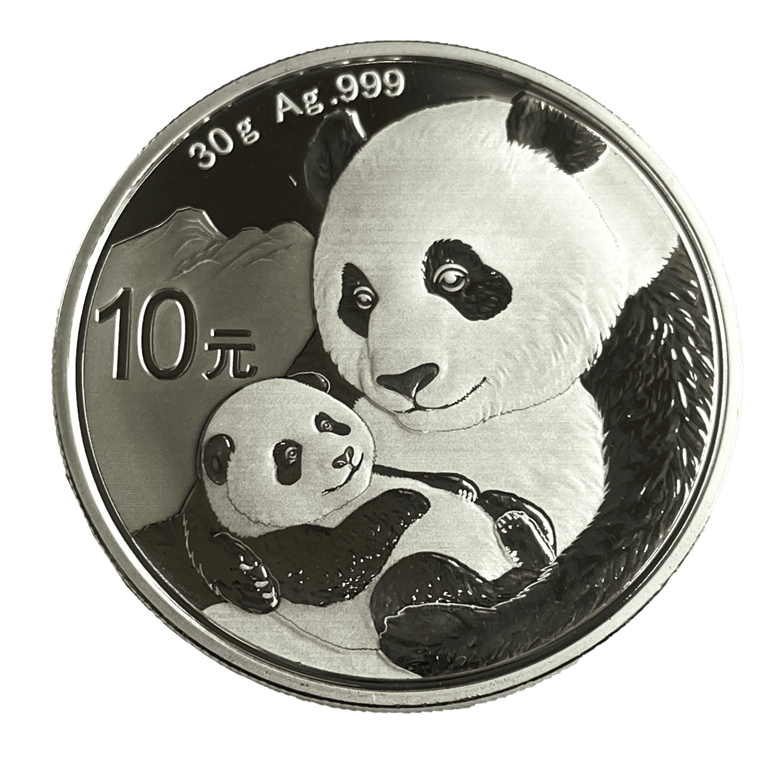 2019 Panda China 10 Yuan 30g .999 Fine Silver panda 2019 Panda China 10 Yuan 30g .999 Fine Silver