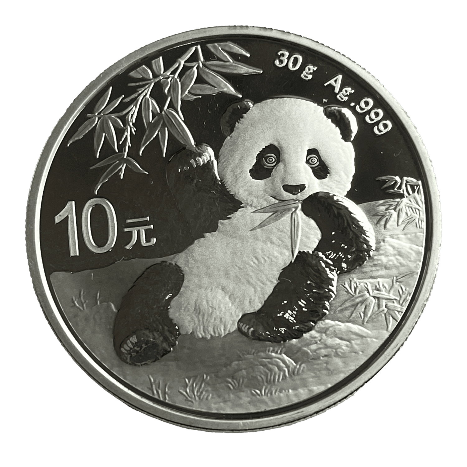 2020 Panda China 10 Yuan 30g .999 Fine Silver panda 2020 Panda China 10 Yuan 30g .999 Fine Silver