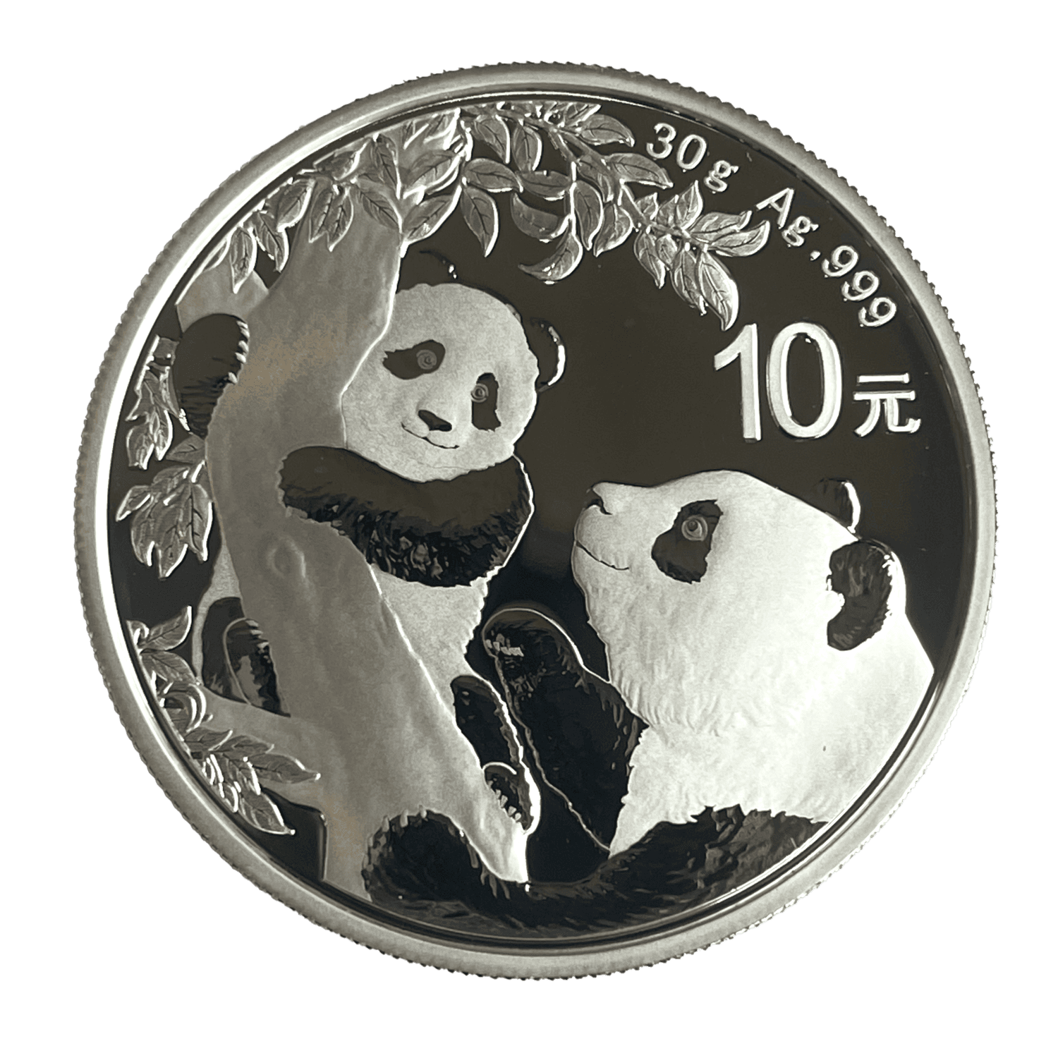2021 Panda China 10 Yuan 30g .999 Fine Silver panda 2021 Panda China 10 Yuan 30g .999 Fine Silver