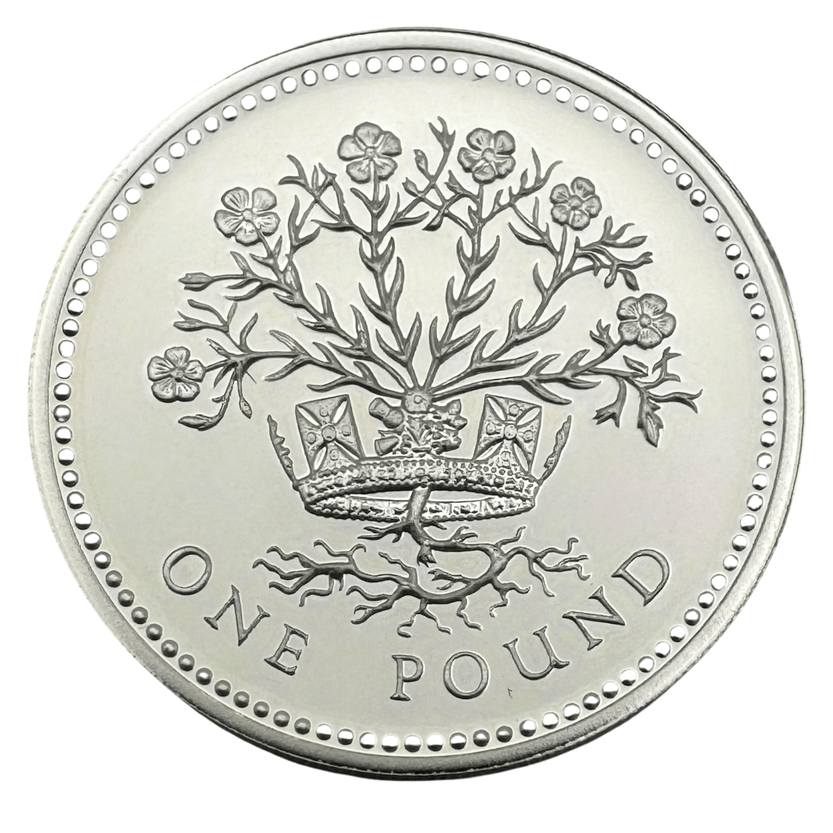 1991 United Kingdom Silver Proof One Pound Coin 1991 1991 United Kingdom Silver Proof One Pound Coin